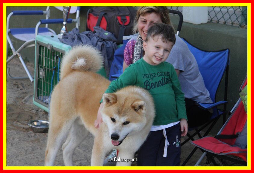 180311 mostra_canina 046.jpg
